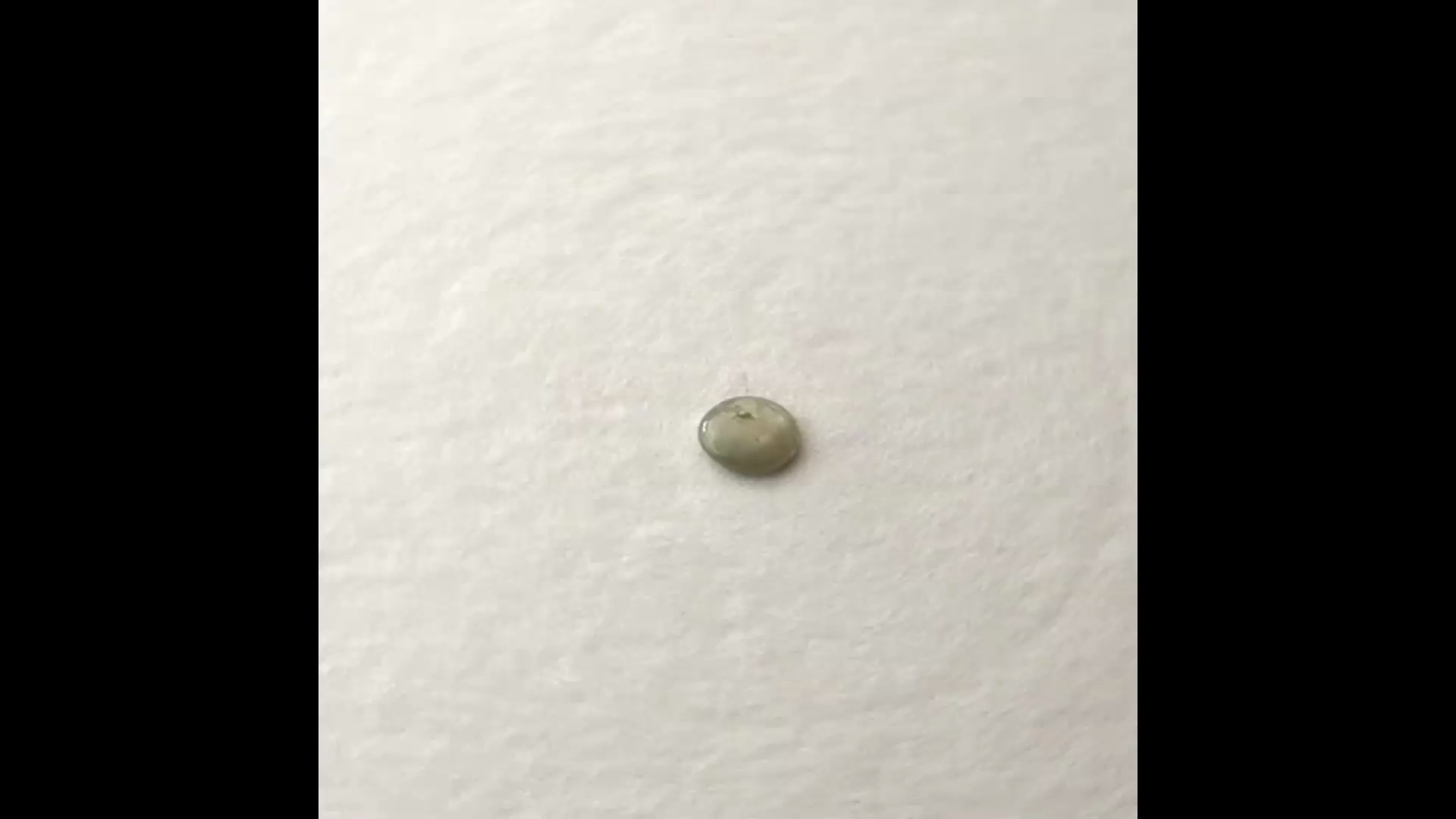 Luonnon safiiri 2,1 ct pyöreä