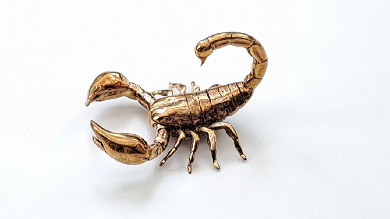 Kiiltävä skorpioni